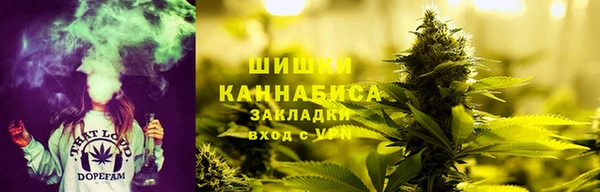 амф Богородицк