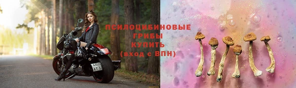 амф Богородицк