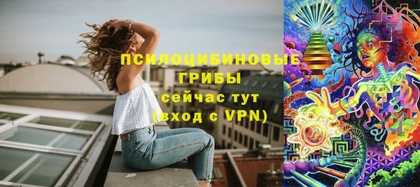 амф Богородицк